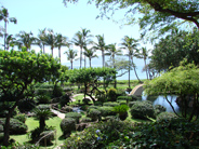 garden area of our Maui hotel